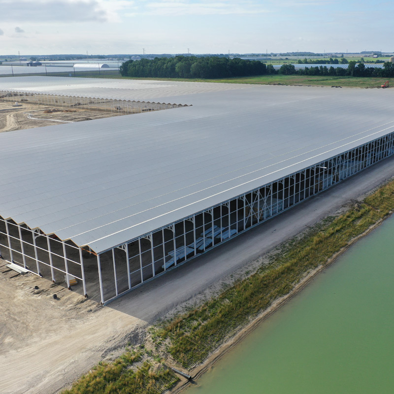 Project Sunens 5