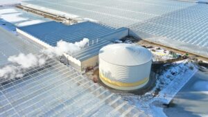 Pomas Farms - largest pepper greenhouse