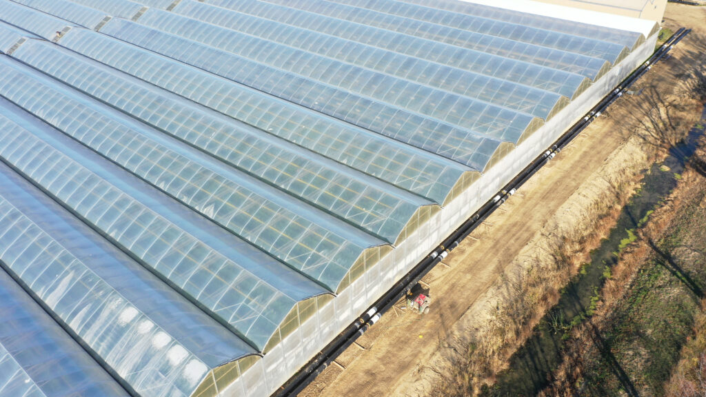 Cielo Vista Farms