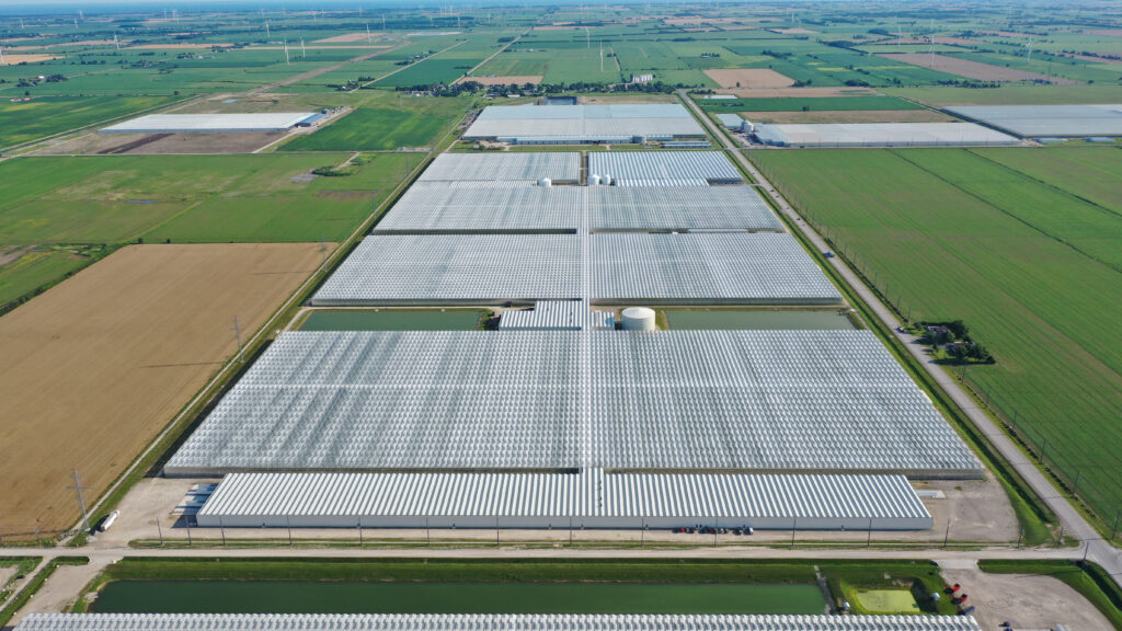(04) Pomas Farms