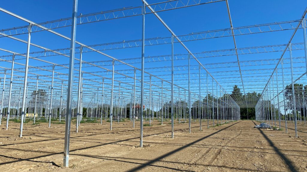 Greenhouse posts being installed at H&A Farms 11-acre tomato greenhouse