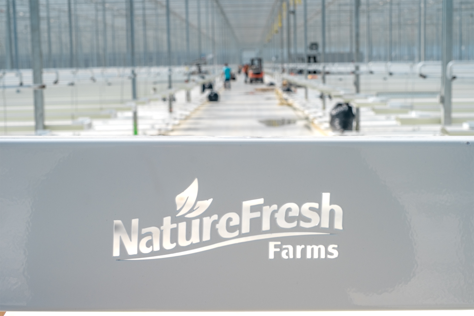 NFF_Phase 7_Contruction_25 Mar 2019 - 9