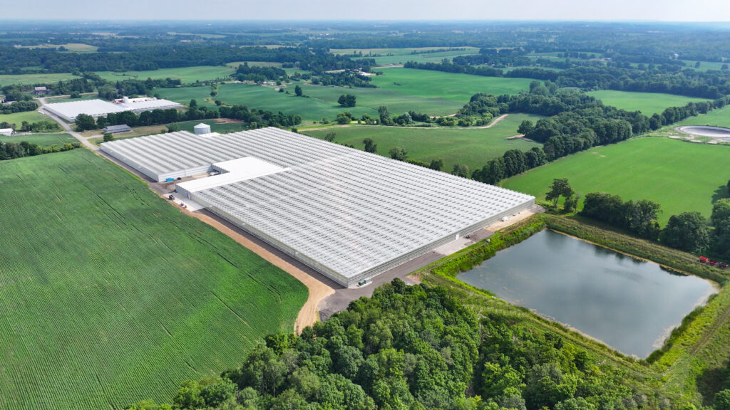 James Neven - Best Photo