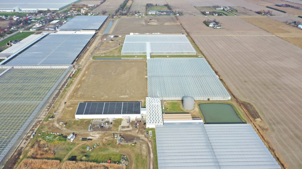 (03) November 27, 2024