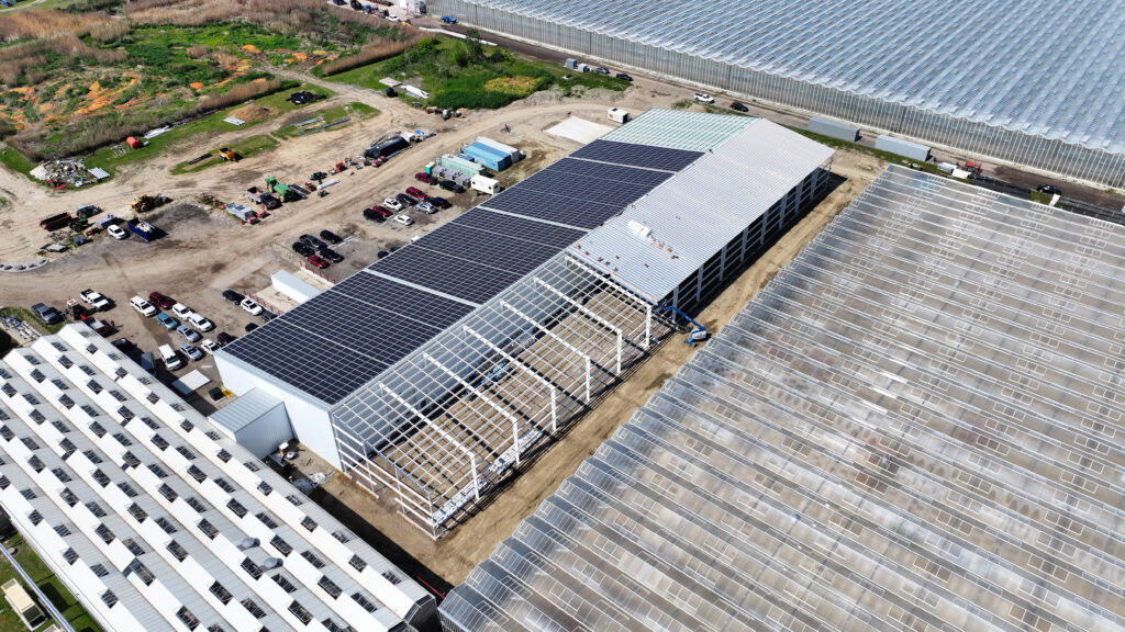 (150) DJI_20250610104109_0051_D