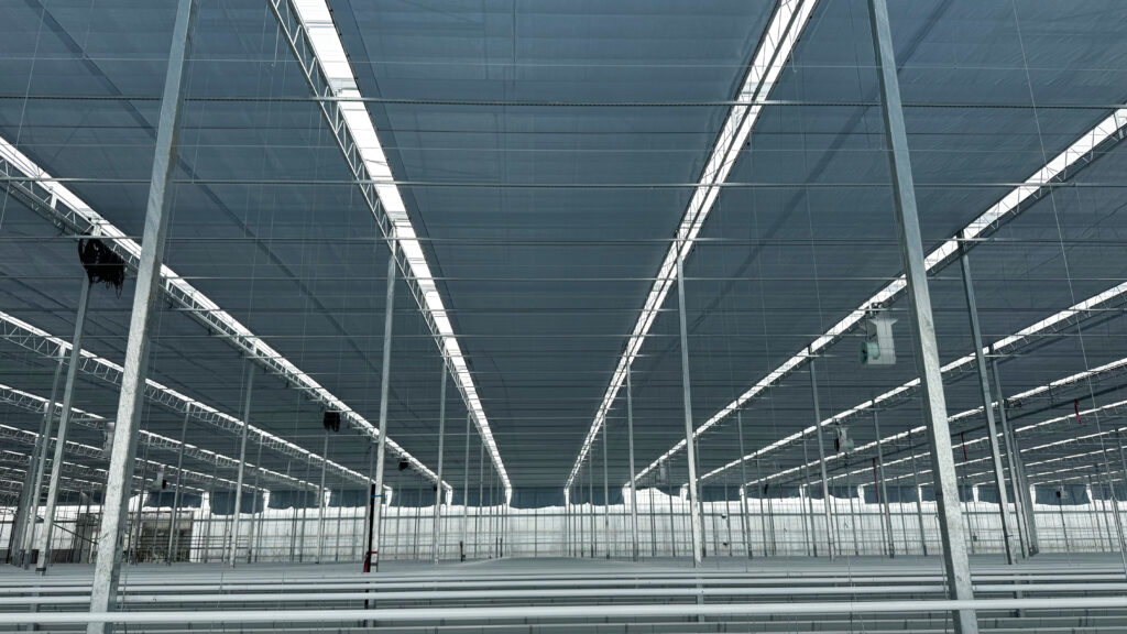 (185) Photo 2025-07-07, 9 09 58 AM