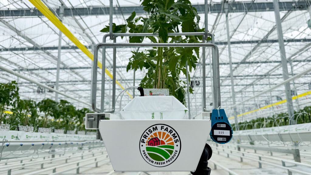 (201) Photo 2025-07-17, 8 32 06 AM