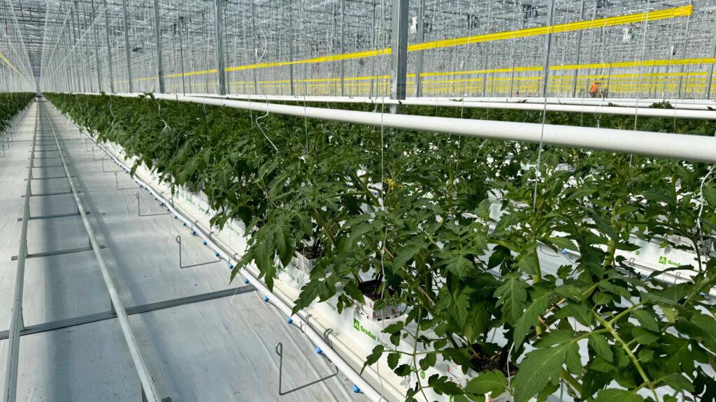 (234) Photo 2025-07-21, 10 01 39 AM