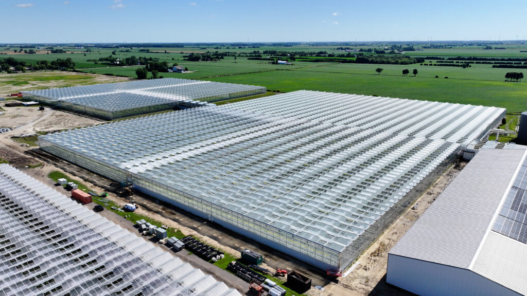 (238) 20250723101424_0001_D