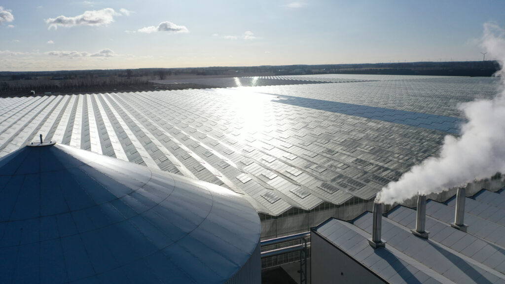 (179) March 26, 2025