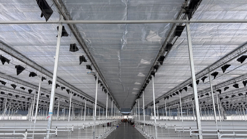 (323) 2025-08-08, 8 43 35 AM