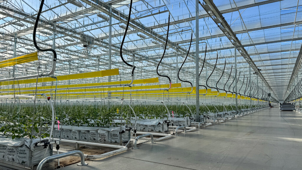 (363) 2025-09-02, 8 47 34 AM