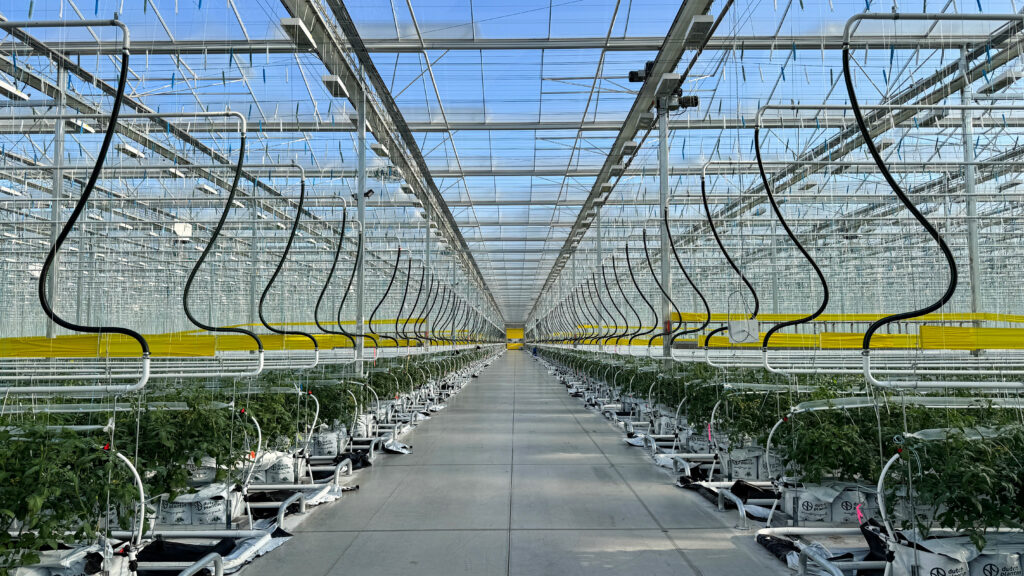 (374) 2025-09-16, 8 49 27 AM