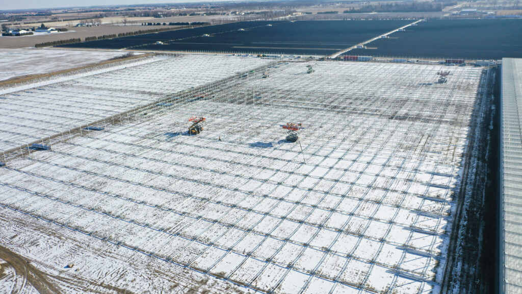 (65) February 11, 2025