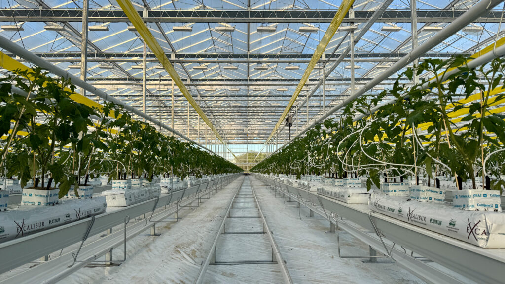 (126) 2025-10-10, 8 27 33 AM