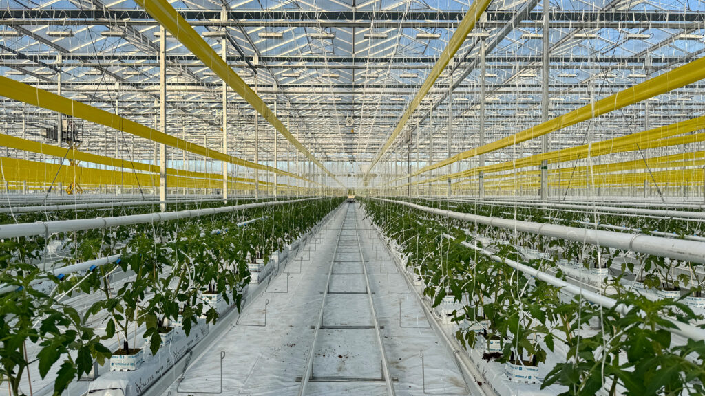 (133) 2025-10-10, 8 38 58 AM