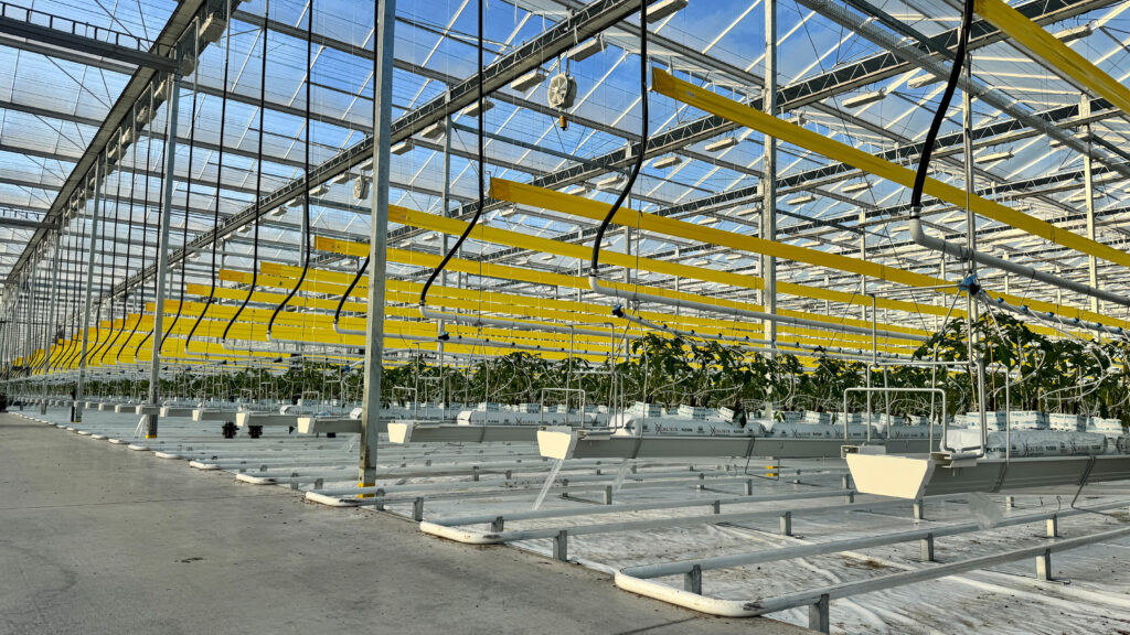 (137) 2025-10-10, 8 41 12 AM