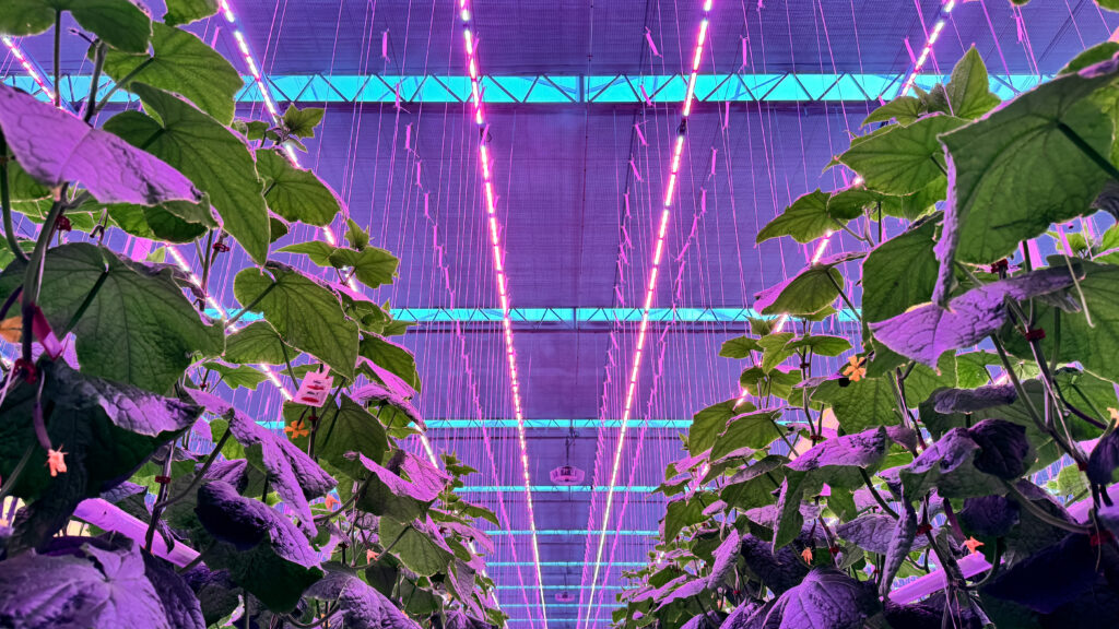 (280) 2026-02-09, 9 34 19 AM