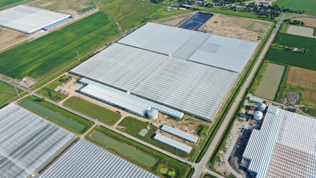 Commercial Strawberry Greenhouse Systems
